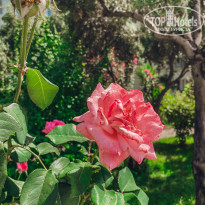 фото из отзыва ID 2610245