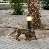 фото из отзыва ID 2610277