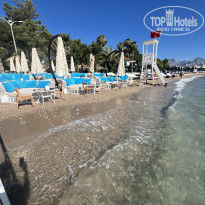 фото из отзыва ID 2610326