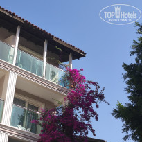 фото из отзыва ID 2610432