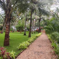 фото из отзыва ID 2610479