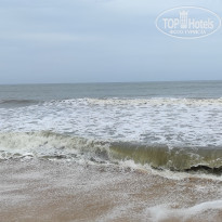 фото из отзыва ID 2610479