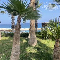 фото из отзыва ID 2610505