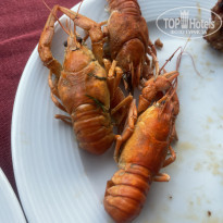 фото из отзыва ID 2610505