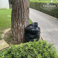 фото из отзыва ID 2610632