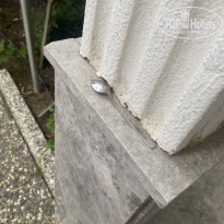 фото из отзыва ID 2610632