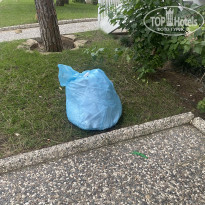 фото из отзыва ID 2610632