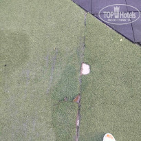 фото из отзыва ID 2610674