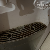 фото из отзыва ID 2610730