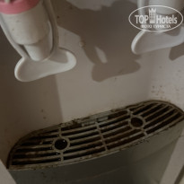 фото из отзыва ID 2610730