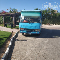 фото из отзыва ID 2610726