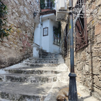 фото из отзыва ID 2610857