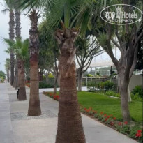 фото из отзыва ID 2610921