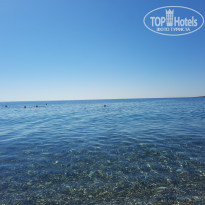 фото из отзыва ID 2610975