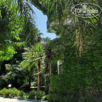 фото из отзыва ID 2610975