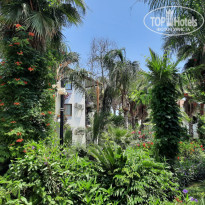 фото из отзыва ID 2610975