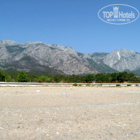 фото из отзыва ID 2610979