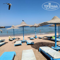 фото из отзыва ID 2610678