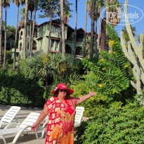 фото из отзыва ID 2611133