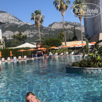 фото из отзыва ID 2611140