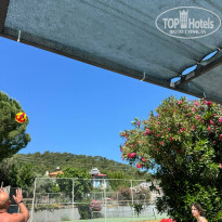 фото из отзыва ID 2611166