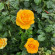 фото из отзыва ID 2611176