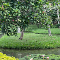 фото из отзыва ID 2611219