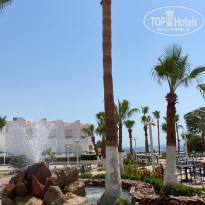 фото из отзыва ID 2611306