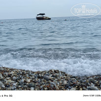 фото из отзыва ID 2611421