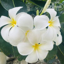 фото из отзыва ID 2611491