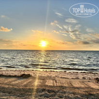 фото из отзыва ID 2611576