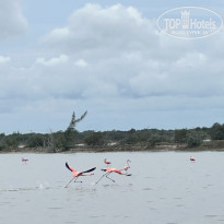 фото из отзыва ID 2611576