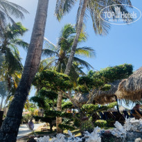 фото из отзыва ID 2611698