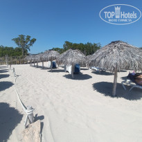 фото из отзыва ID 2611712