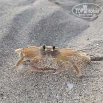 фото из отзыва ID 2611712