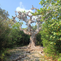 фото из отзыва ID 2611712