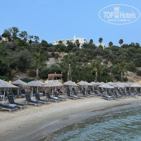 фото из отзыва ID 2611781