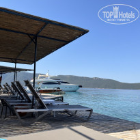 фото из отзыва ID 2611781