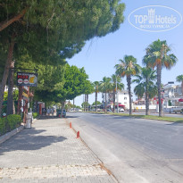 фото из отзыва ID 2611839