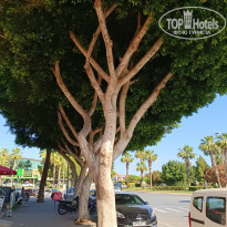 фото из отзыва ID 2611839