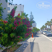 фото из отзыва ID 2611839