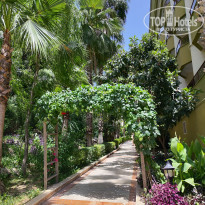 фото из отзыва ID 2611989