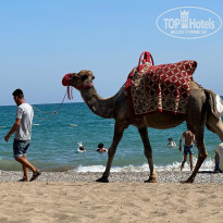 фото из отзыва ID 2612195