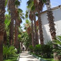 фото из отзыва ID 2612253