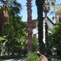 фото из отзыва ID 2612253