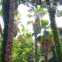 фото из отзыва ID 2612253