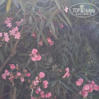 фото из отзыва ID 2612253