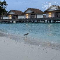 фото из отзыва ID 2612342