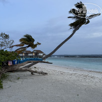 фото из отзыва ID 2612342