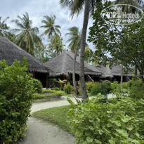 фото из отзыва ID 2612342